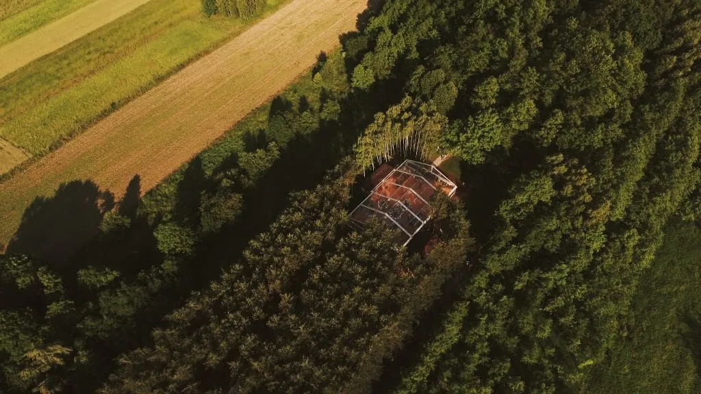 forest wesela i eventy