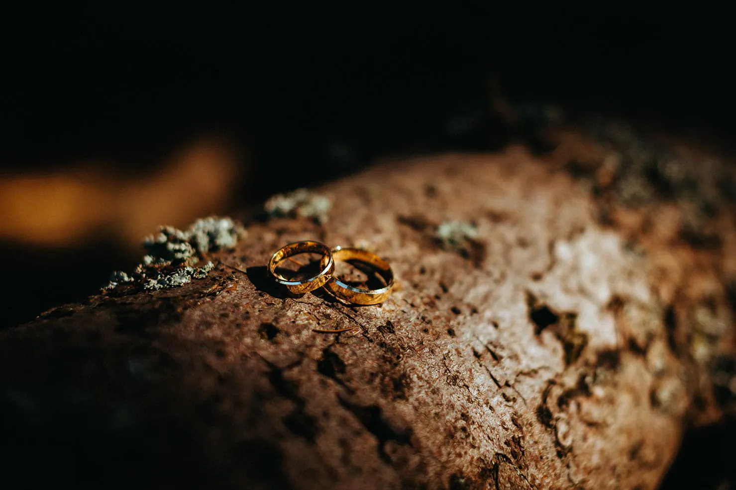 Fotografia ślubna Allemedia 4